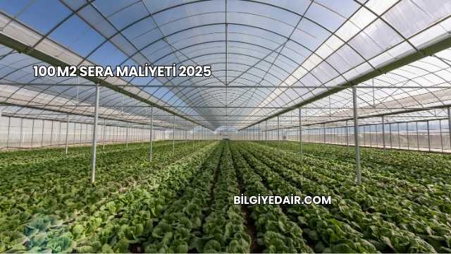 100 m2 Sera Maliyeti 2025